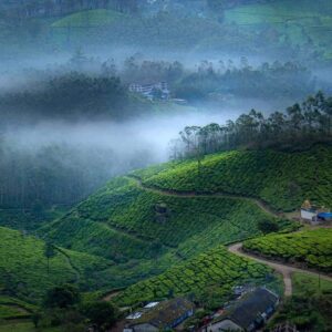 places to visit with family in south india, munnar