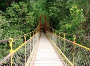 places to visit with family in south india, coorg