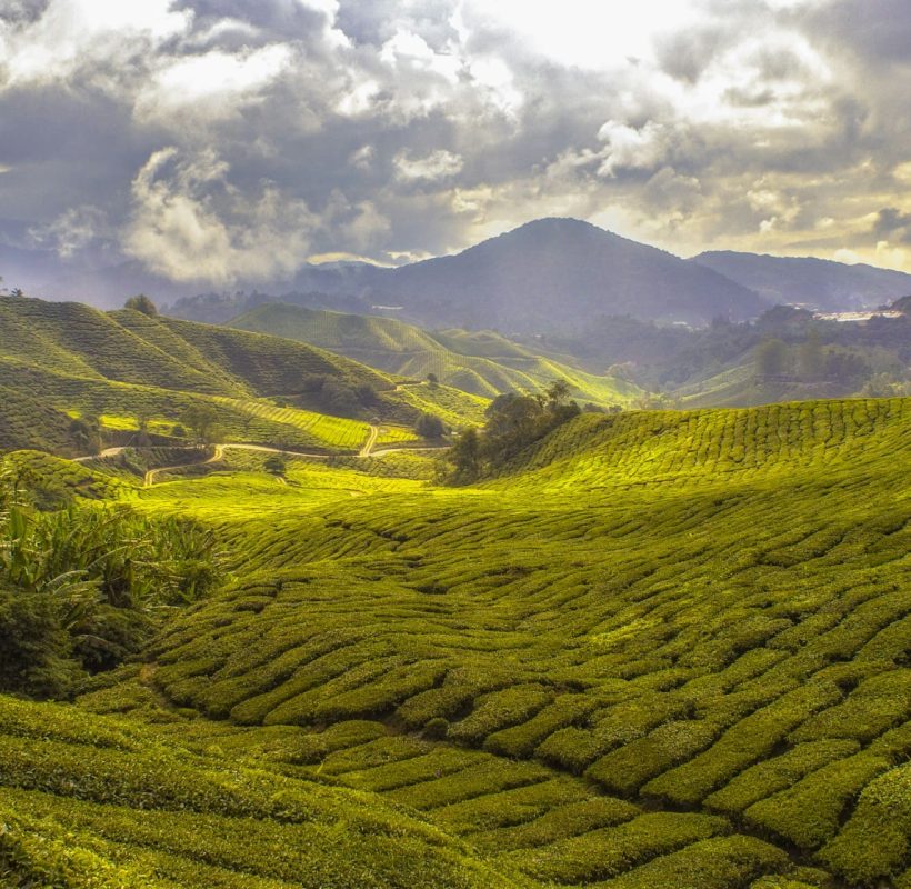 honeymoon packages, kerala